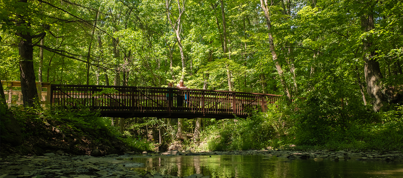 Shale Hollow Park - Preservation Parks of Delaware County