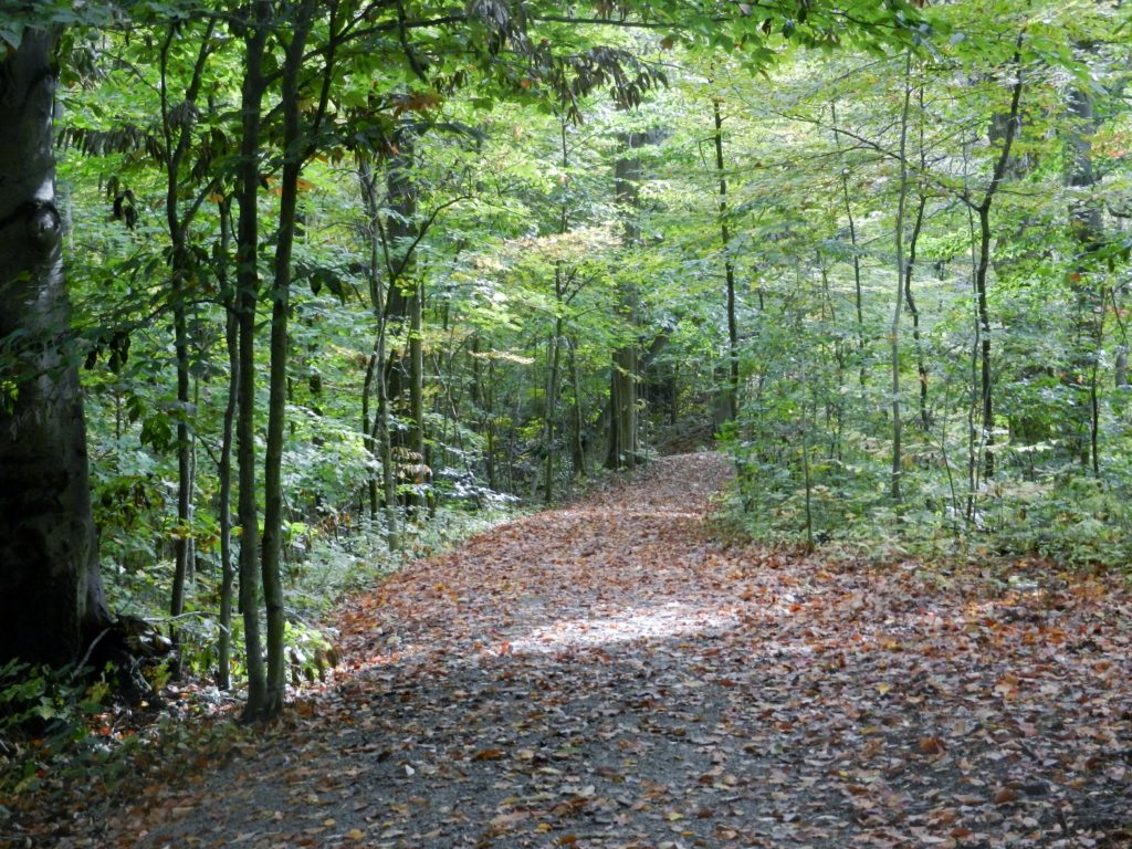 gallant woods park gallant woods park