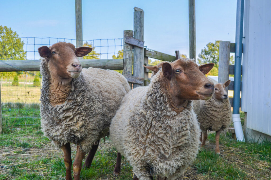Gallant Farm Preservation Parks of Delaware County