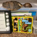 reptiles borrow bin contents