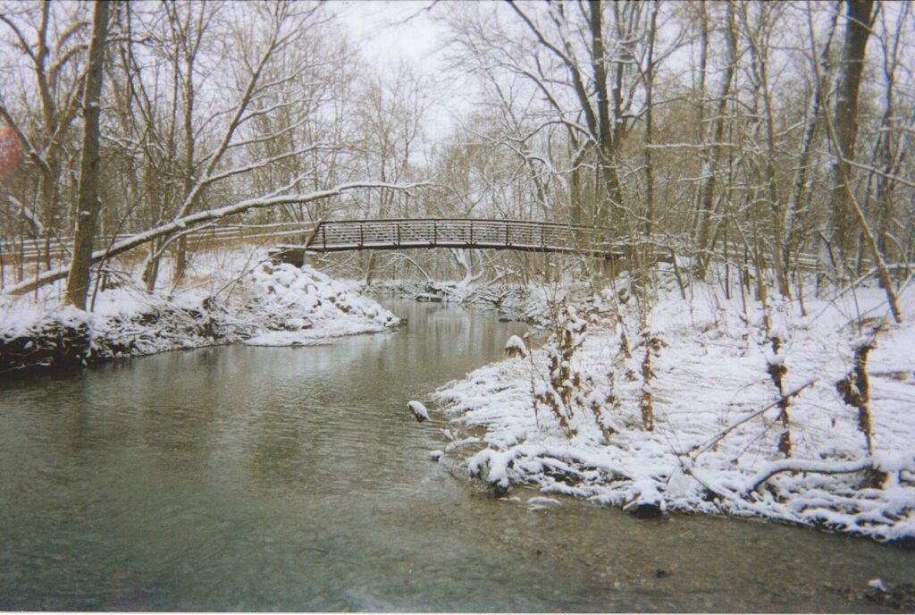 Bridge at Blues Creek Park