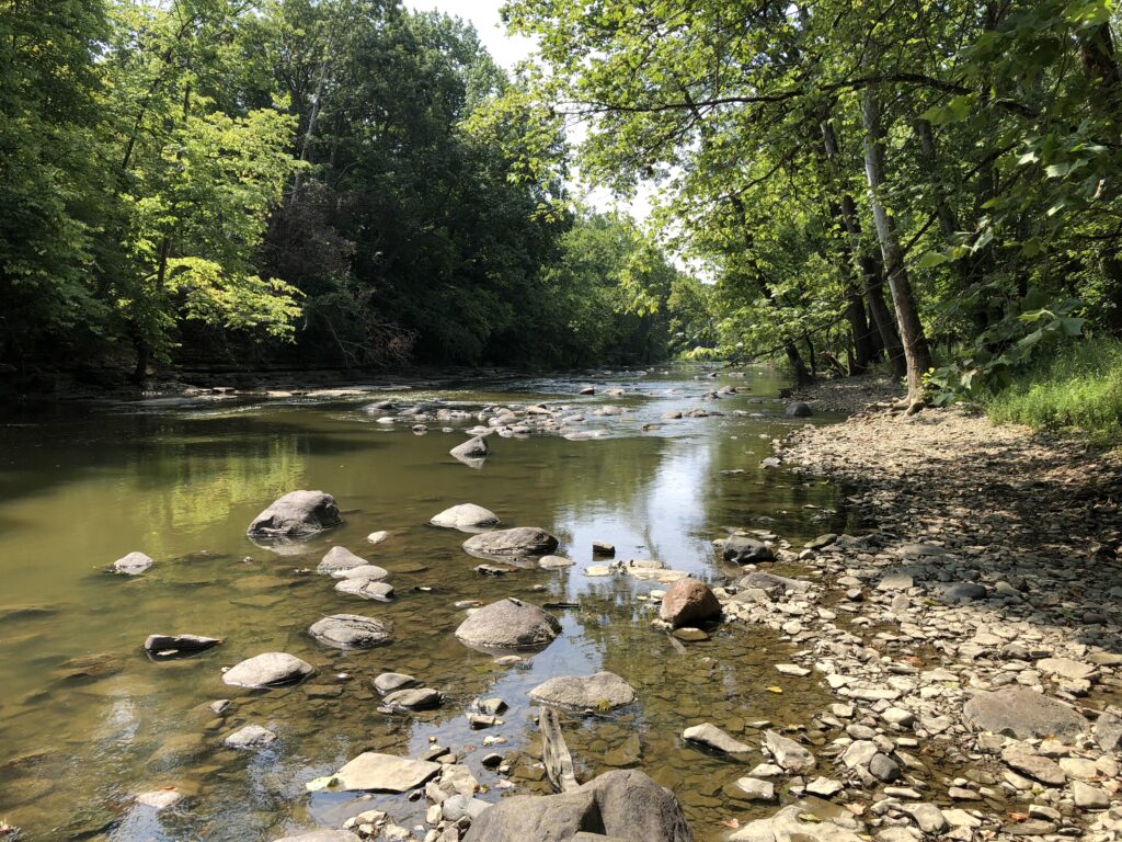 Olentangy River at Sycamore Run Park