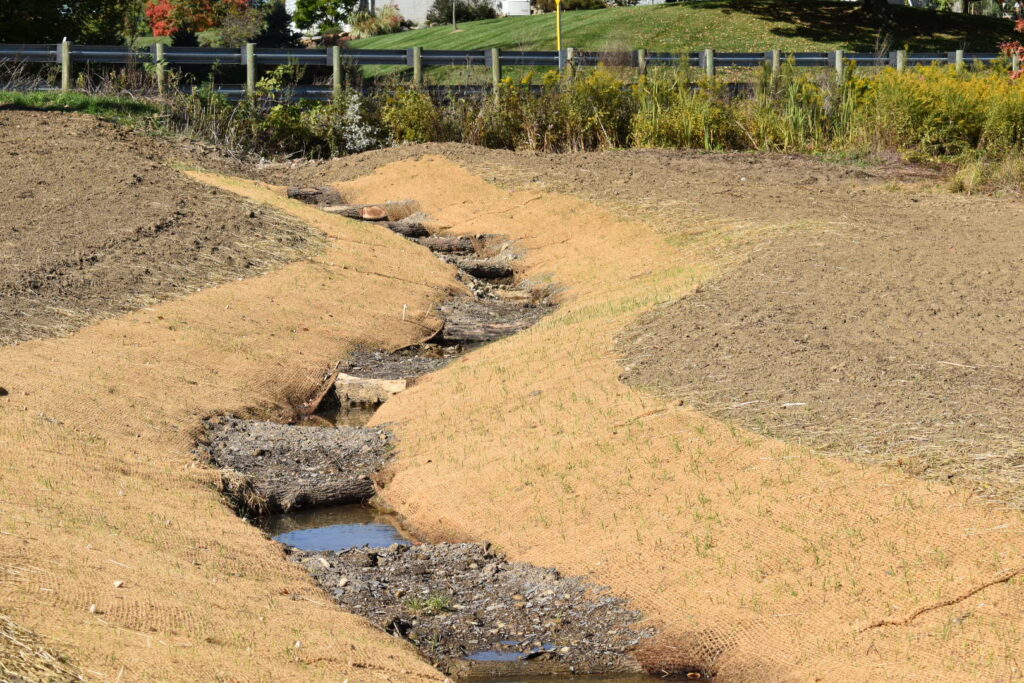 Stream Restoration east of Bale Kanyon Road
