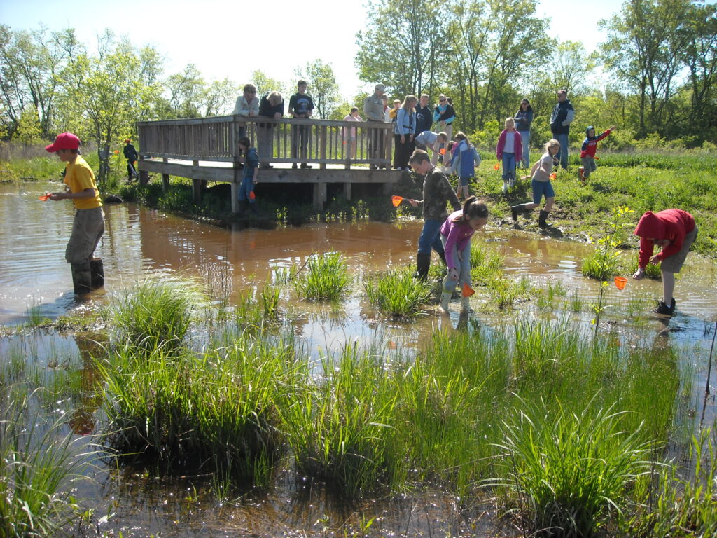 Wetland program 2012