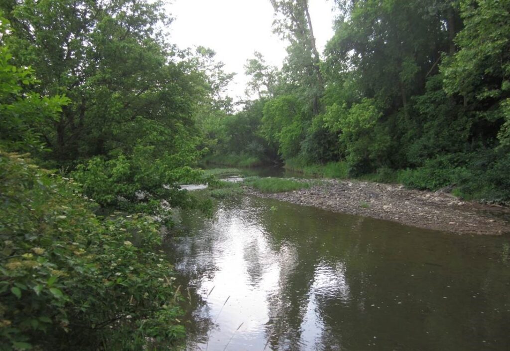 Alum Creek