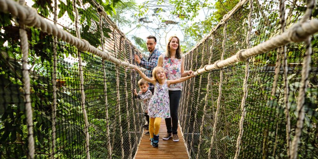 Canopy bridge