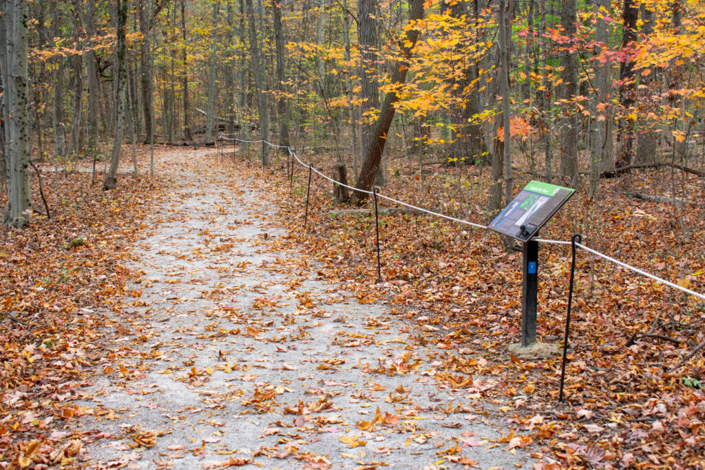 rope and tactile sign along trail with fall leaves