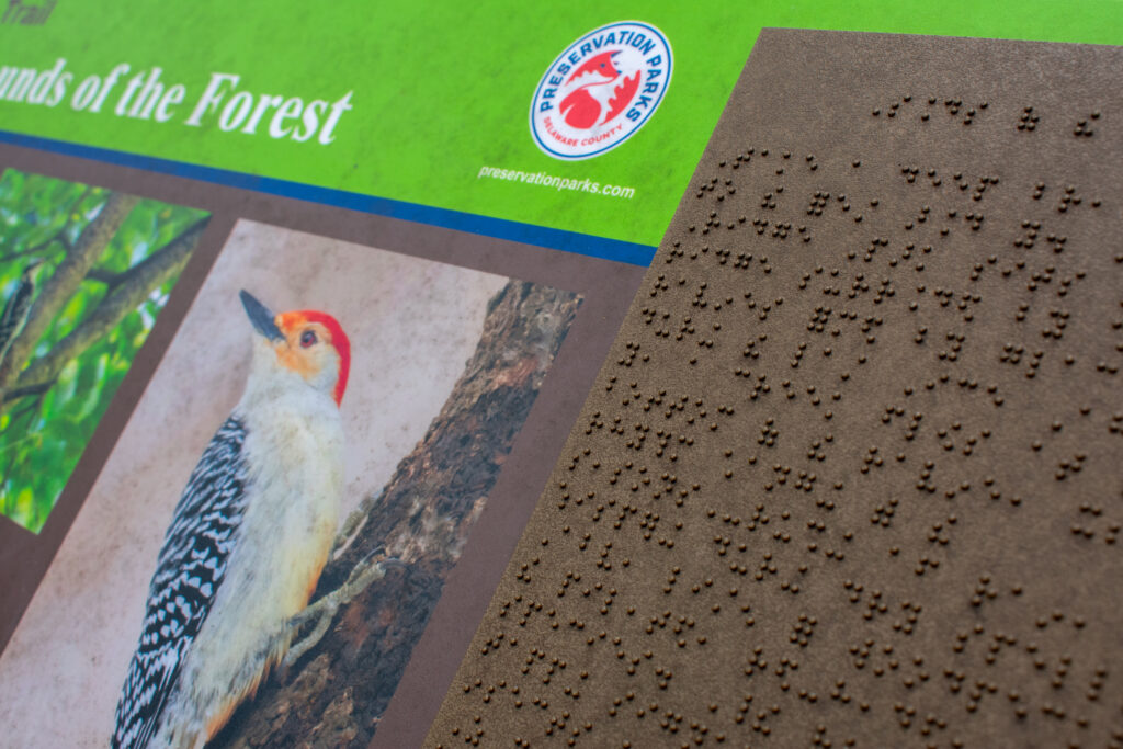 details of braille on sounds of the forest sign