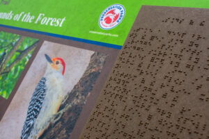 details of braille on sounds of the forest sign