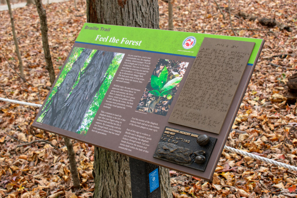 interpretive sign about feeling the forest including tactile hickory tree samples