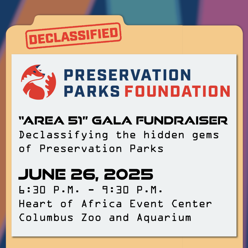 "Area 51" Gala Fundraiser Declassifying the hidden gems of Preservation Parks June 26, 2025 6:30 p.m. - 9:30 p.m. Heart of Africa Event Center COlumbus Zoo & Aquarium
