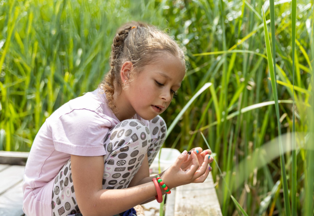 young girl looking at water bug in front of a wetland