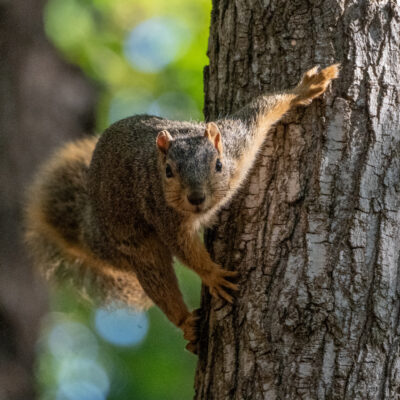 Image for choice number 8