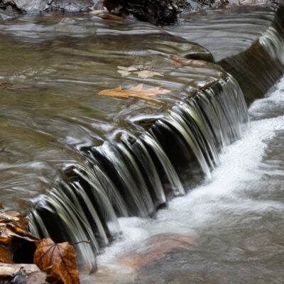 Image for choice number 2