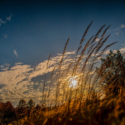 Image for choice number 4