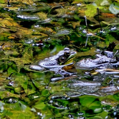 Image for choice number 7