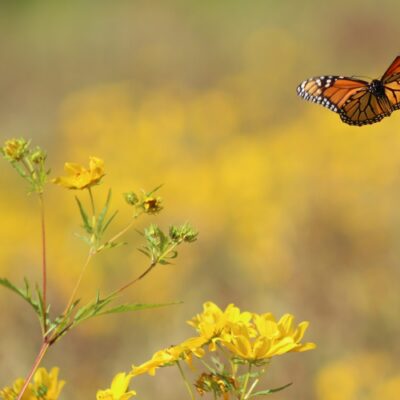 Image for choice number 9