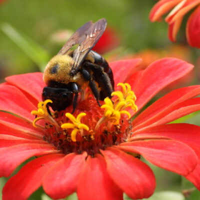 Image for choice number 5