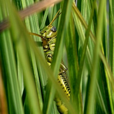 Image for choice number 9