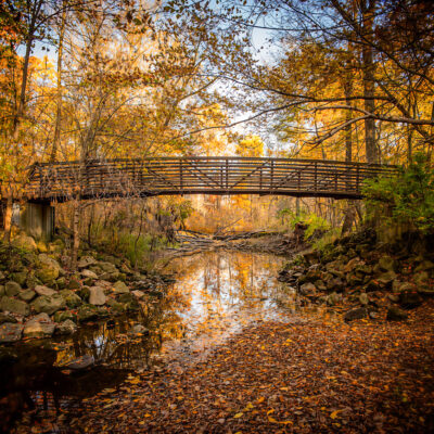 Image for choice number 2