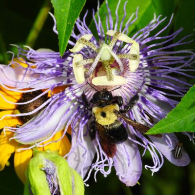 Image for choice number 3