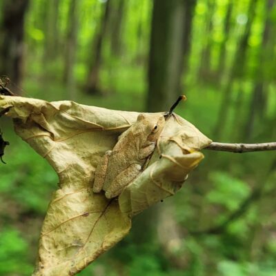 Image for choice number 3