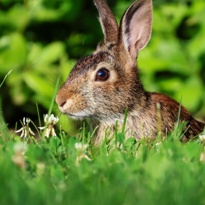 Image for choice number 6