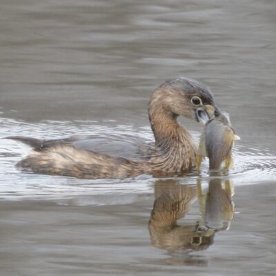 Image for choice number 3