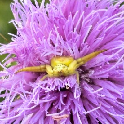 Image for choice number 2