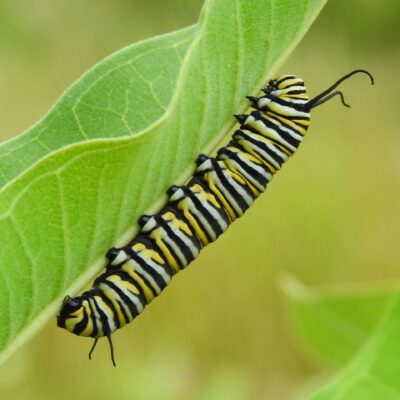 Image for choice number 6