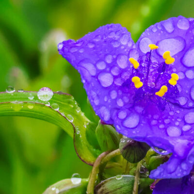 Image for choice number 8