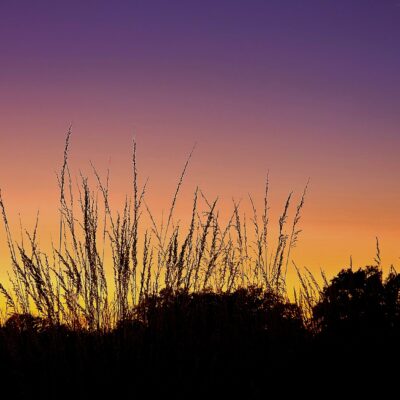 Image for choice number 4