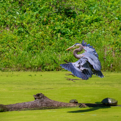 Image for choice number 5