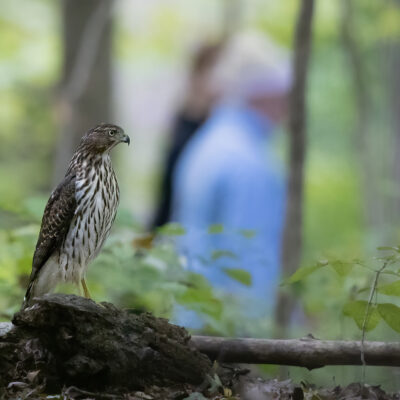 Image for choice number 10